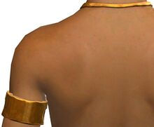 Breezy Swim Top male back.jpg