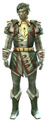Magician armor sylvari male front.jpg