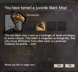 Description of a Black Moa.