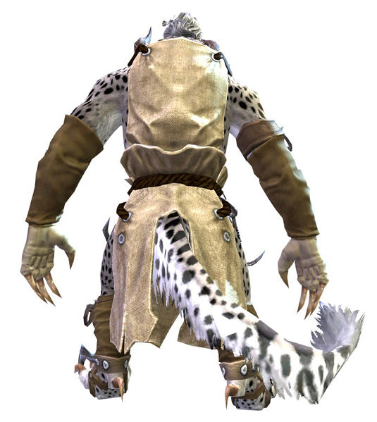 File:Cook's Outfit charr female back.jpg