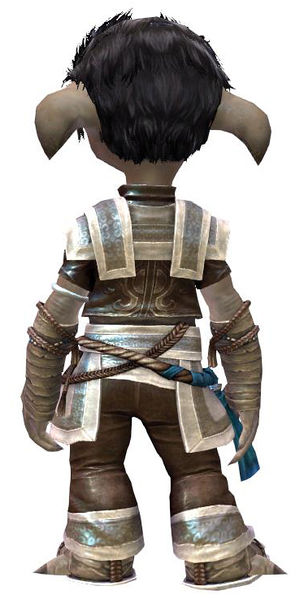 File:Monk's Outfit asura male back.jpg