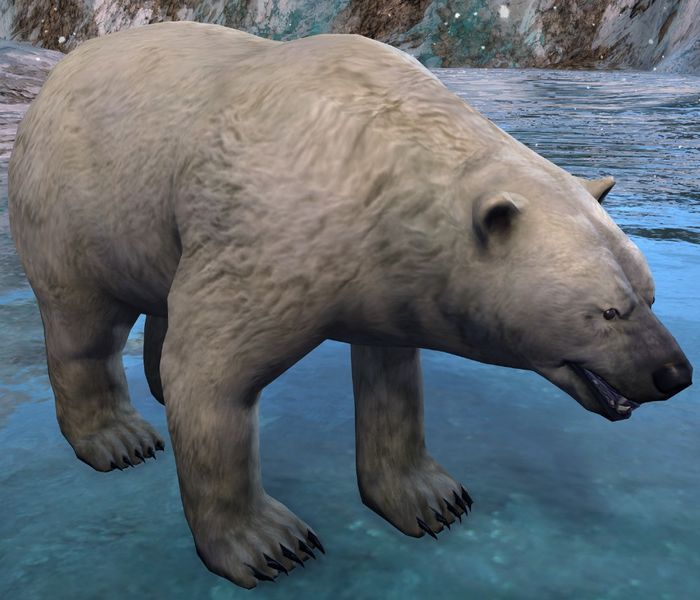 File:Polar Bear.jpg