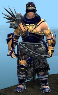 Spearmarshal's armor (heavy) norn male front.jpg
