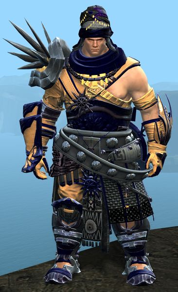 File:Spearmarshal's armor (heavy) norn male front.jpg