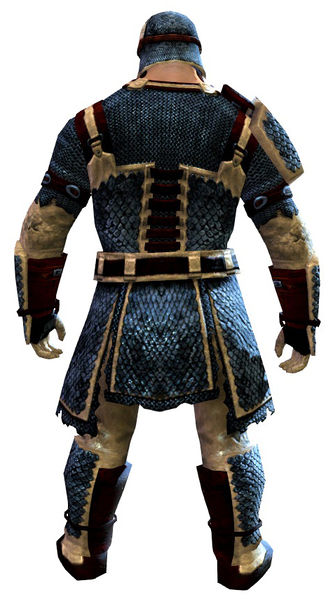 File:Worn Scale armor norn male back.jpg