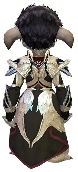 File:Council Watch armor asura male back.jpg