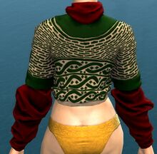 Festive Sweater back.jpg