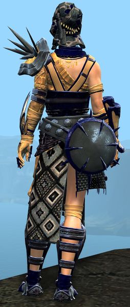 File:Spearmarshal's armor (heavy) norn female back.jpg