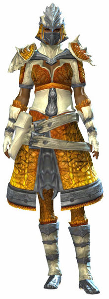 File:Emblazoned armor norn female front.jpg