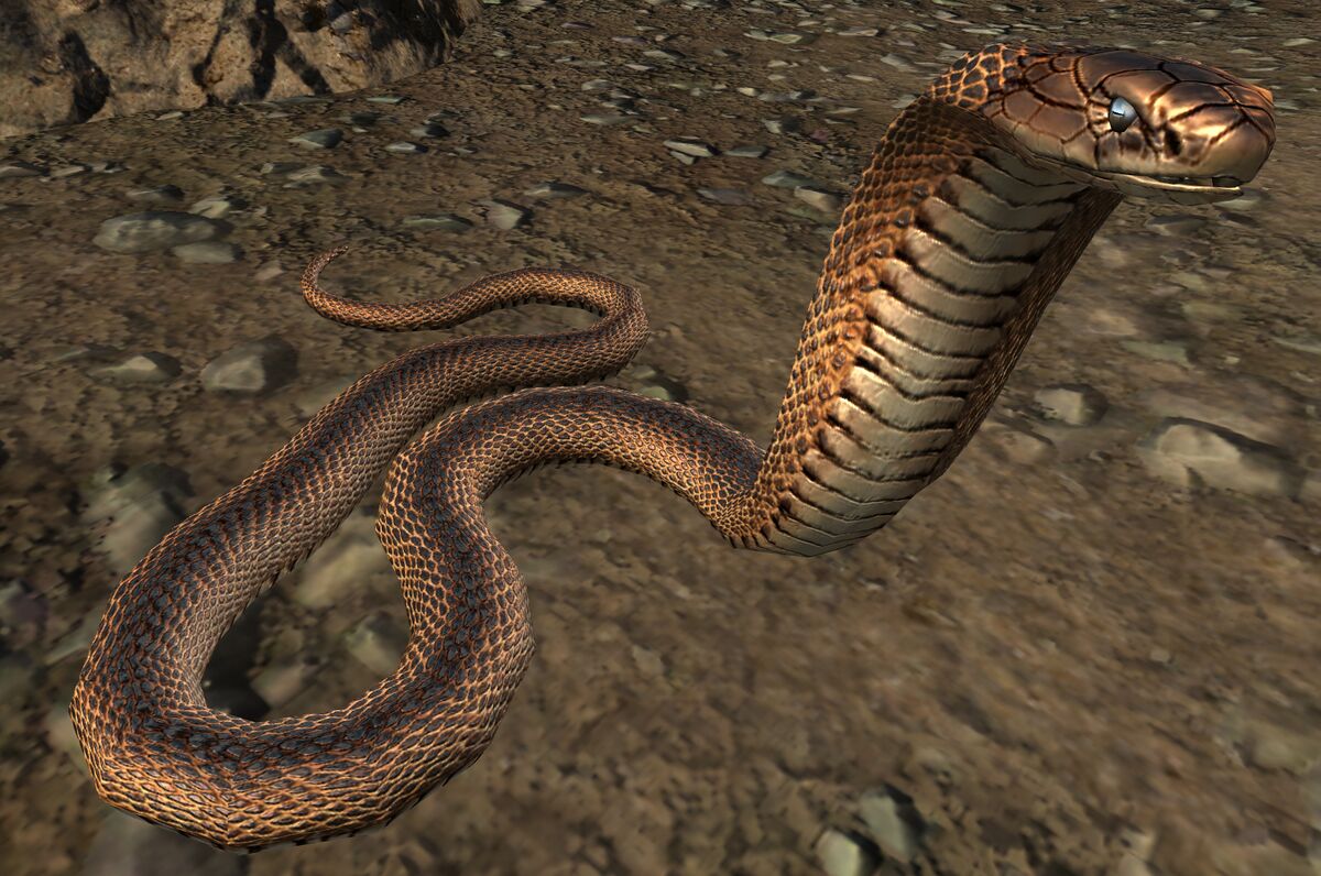 Snake (Tideland Outlet) - Guild Wars 2 Wiki (GW2W)