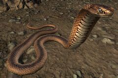 Snake (Tideland Outlet).jpg