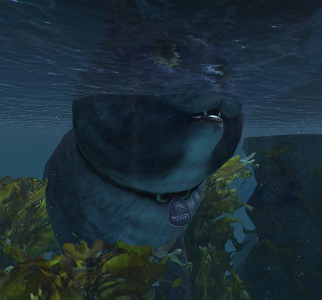 File:The King of All Cats Lion's Arch underwater.jpg