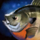 Bream.png