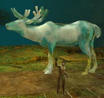 Reindeer Ice Sculpture.jpg