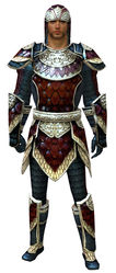 Tempered Scale armor human male front.jpg