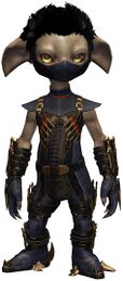 True Assassin's Guise Outfit