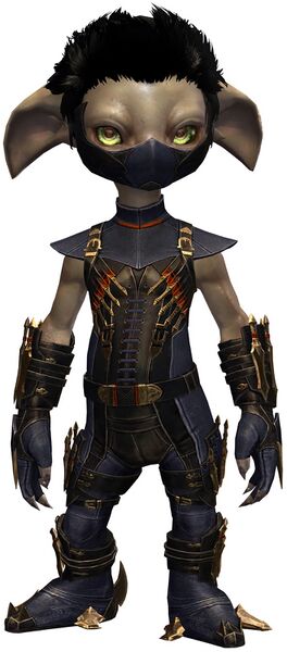 File:True Assassin's Guise Outfit asura male front.jpg