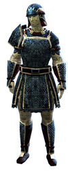 Worn Scale armor sylvari male front.jpg
