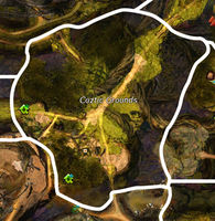 Coztic Grounds map.jpg