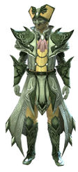 Masquerade armor sylvari male front.jpg