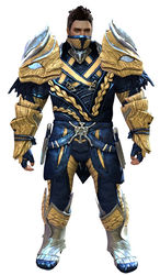 Strider's armor norn male front.jpg