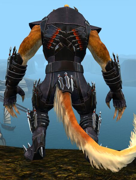 File:True Assassin's Guise Outfit charr female back.jpg