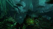 The Echovald Forest - Guild Wars 2 Wiki (GW2W)