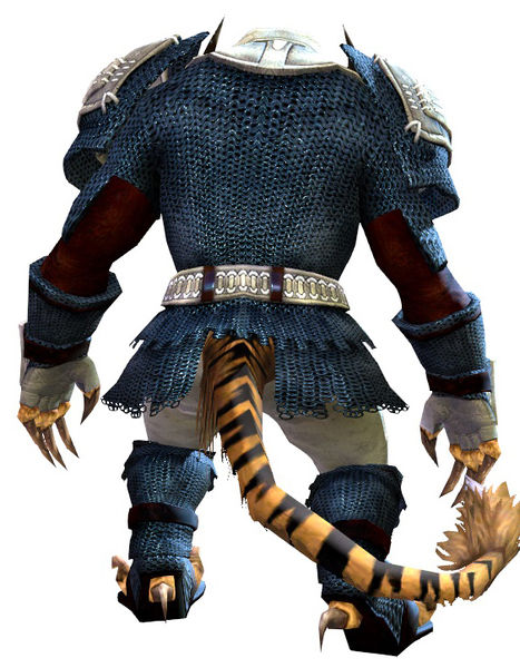 File:Worn Chain armor charr male back.jpg