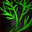 Dill Sprig.png