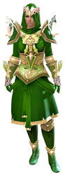 Glorious armor (light) norn female front.jpg