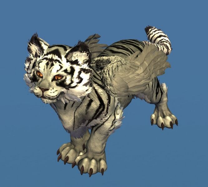File:Mini White Tigris Cub.jpg
