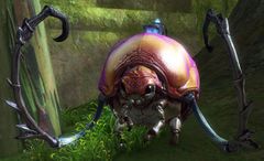 Roller Beetle (NPC).jpg