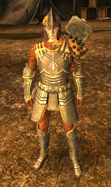 Ebon Vanguard Warrior - Guild Wars 2 Wiki (GW2W)