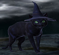 Sinister Feline - Guild Wars 2 Wiki (GW2W)