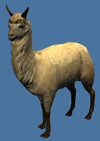 Mini Llama.jpg