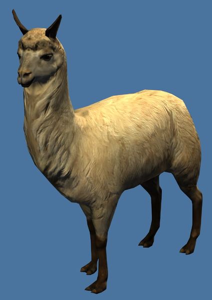 File:Mini Llama.jpg