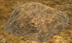 Suspicious Mound of Dirt.jpg