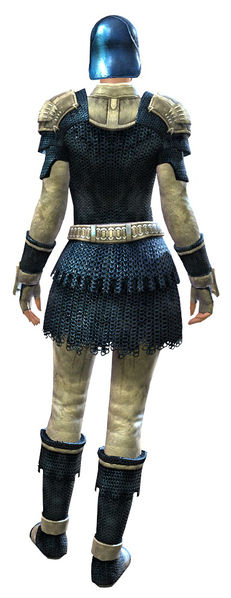 File:Worn Chain armor norn female back.jpg