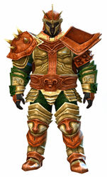 Heritage armor (heavy) norn male front.jpg