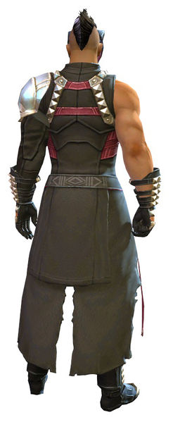 File:Armor of Koda (medium) human male back.jpg