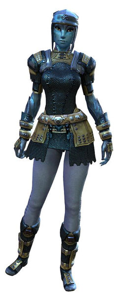 File:Chainmail armor sylvari female front.jpg