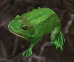 Frog (Janthir).jpg