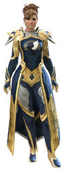 Guild Watchman armor norn female front.jpg