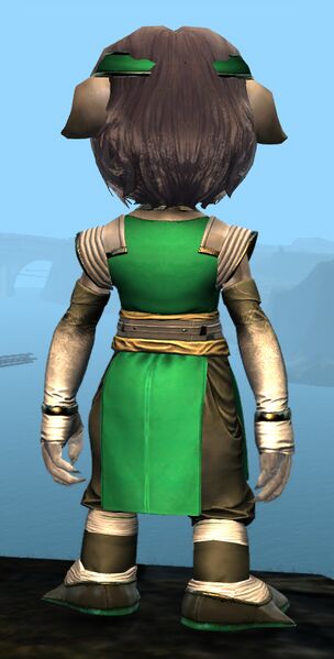 File:Heavy Monastery armor asura female back.jpg