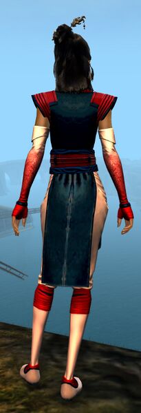 File:Medium Monastery armor human female back.jpg