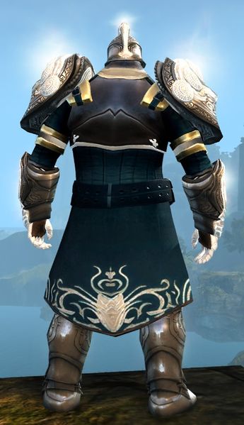 File:Radiant armor (medium) norn male back.jpg