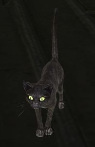 Cat (black).jpg