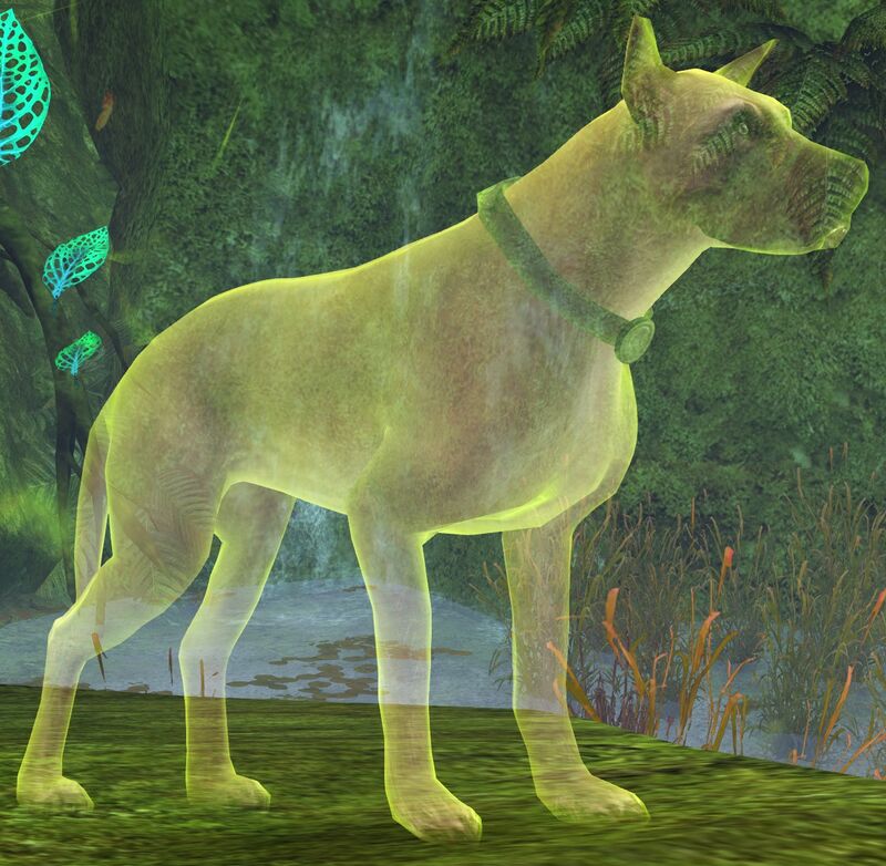 https://wiki.guildwars2.com/images/thumb/8/8b/Dog_%28Fighting_the_Nightmare%29.jpg/800px-Dog_%28Fighting_the_Nightmare%29.jpg