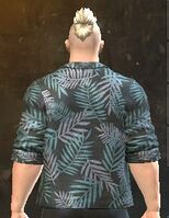 Tropical Chest male back.jpg