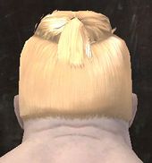 Unique norn male hair back 2.jpg